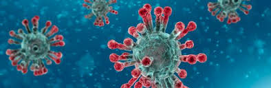 coronavirus1
